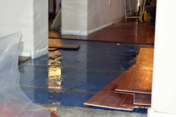 Professional Sewage Cleanup technician working in Jonesville, MI